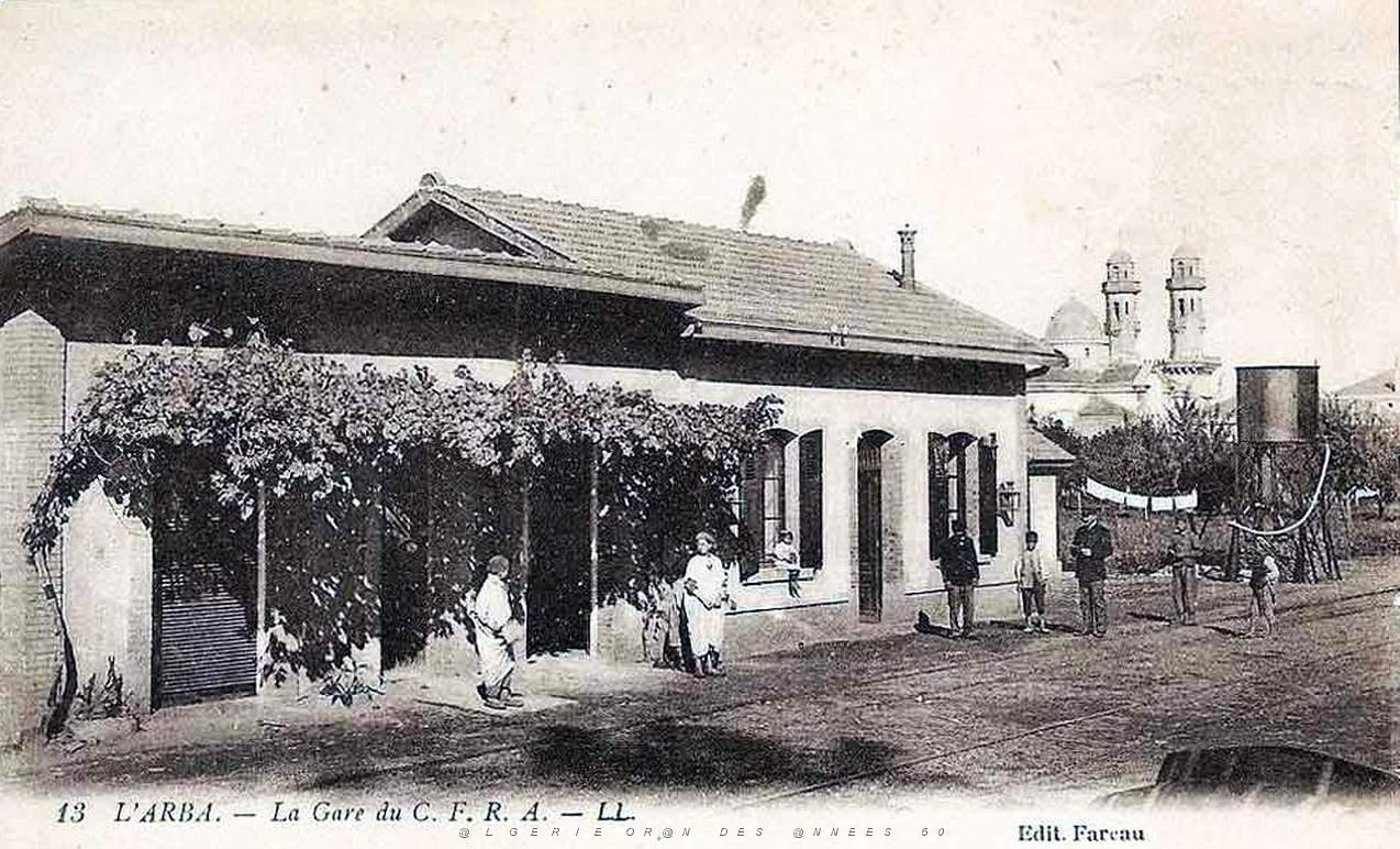Arba 600.jpg